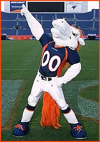 Denver Broncos Mascot - Miles